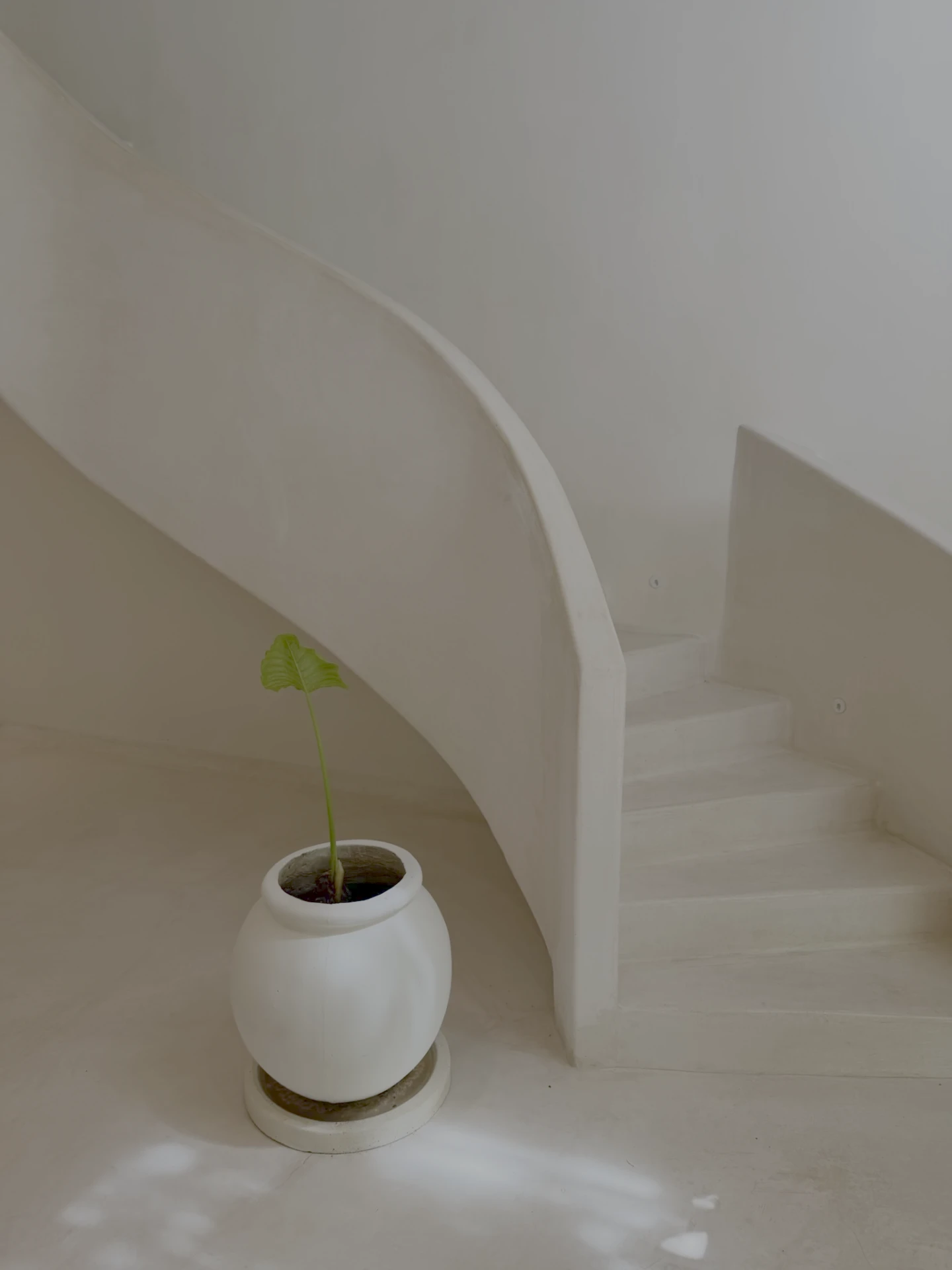 Curved white plaster staircase with a small potted plant in soft daylight